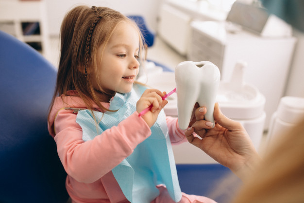 All of your children’s baby teeth should have erupted by the time they are two-and-a-half years old. However, we recommend your child&rsquo;s first dental appointment should commence from 12 months of age. It should be talked about as a positive experience and - if your child is brought in at this early age – it probably will be!
